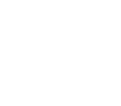 About the vehicle